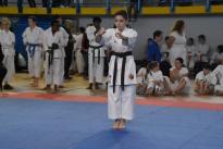 karate regionale (107) (Copia)