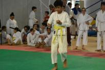 karate regionale (109) (Copia)