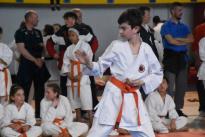 karate regionale (112) (Copia)