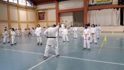 karate (14) (Copia)