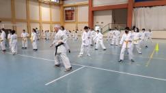 karate (15) (Copia)