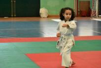 seconda prova karate (14) (Copia)