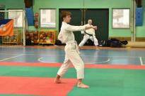 seconda prova karate (116) (Copia)