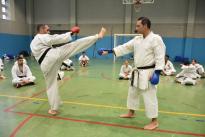 karate (50) (Copia)