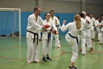 karate (54) (Copia)