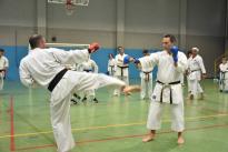 karate (56) (Copia)