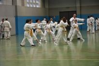 karate (81) (Copia)