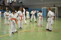 karate (96) (Copia)