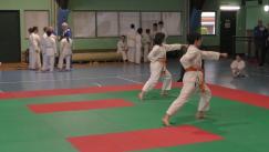 karate (50)