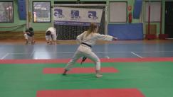 karate (82)