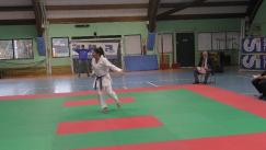 karate (80)