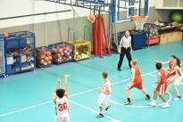 basket juniores (83) (Copia)