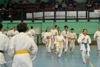 premiazioni karate (23) (Copia)