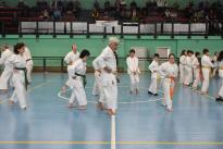 premiazioni karate (33) (Copia)