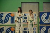 premiazioni karate (98) (Copia)