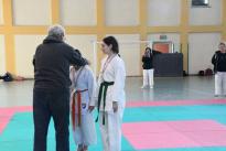 karate (40) (Copia)