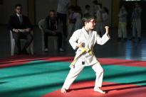karate (38) (Copia)