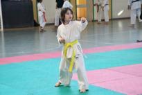 karate (54) (Copia)