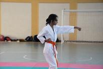 karate (80) (Copia)
