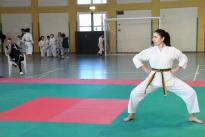 karate (86) (Copia)
