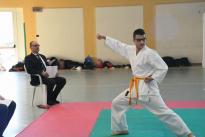 karate (87) (Copia)