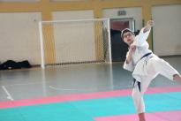 karate (104) (Copia)