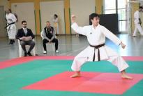 karate (110) (Copia)
