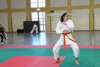 karate (118) (Copia)