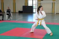 karate (119) (Copia)