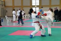 karate (151) (Copia)