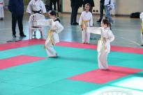 karate barzanò (6) (Copia)