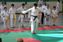 karate barzanò (56) (Copia)