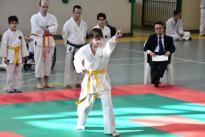 karate barzanò (63) (Copia)