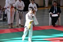 karate barzanò (67) (Copia)