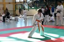 karate barzanò (77) (Copia)