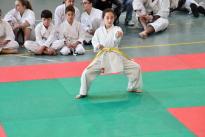 karate barzanò (114) (Copia)